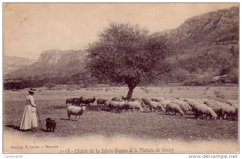 83 - Chaîne De La Sainte-Baume Et Le Plateau De Giniez (bergère Et Son Troupeau De Mouton) - Saint-Maximin-la-Sainte-Baume