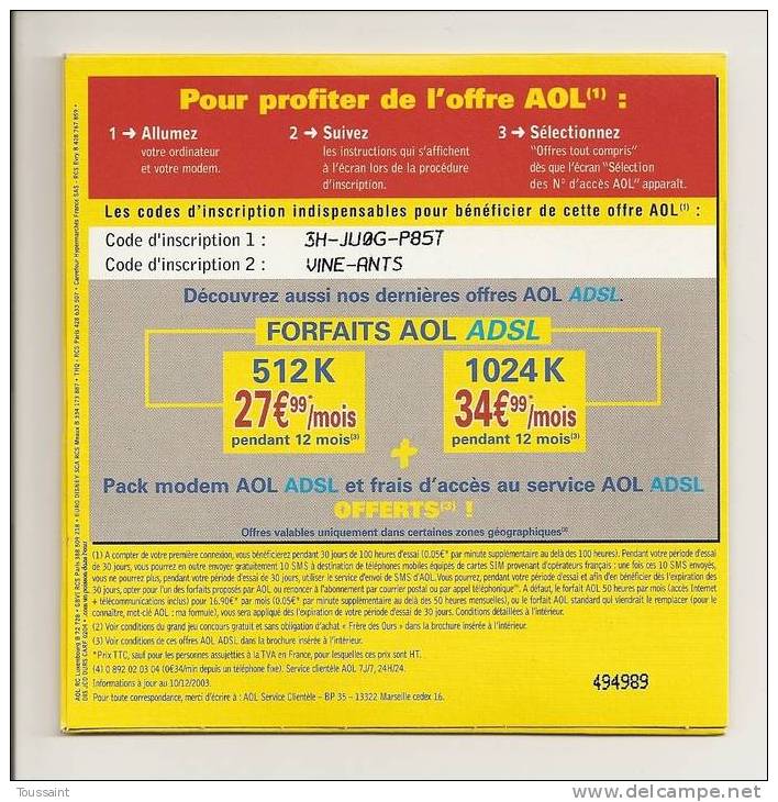 AOL: 100 Heures D´ Essai + 10 SMS, Carrefour, Grand Jeu Concours Frère Des Ours (08-1674) - Kits De Connexion Internet