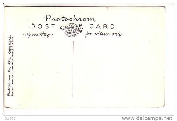 GOOD OLD GREAT BRITAIN POSTCARD - LOWESTOFT - Entrance To Claremont Pier - Lowestoft