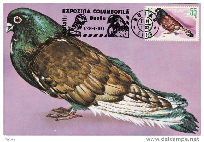 1127 -  Carte Maximum Roumanie 1982 - Pigeons & Columbiformes