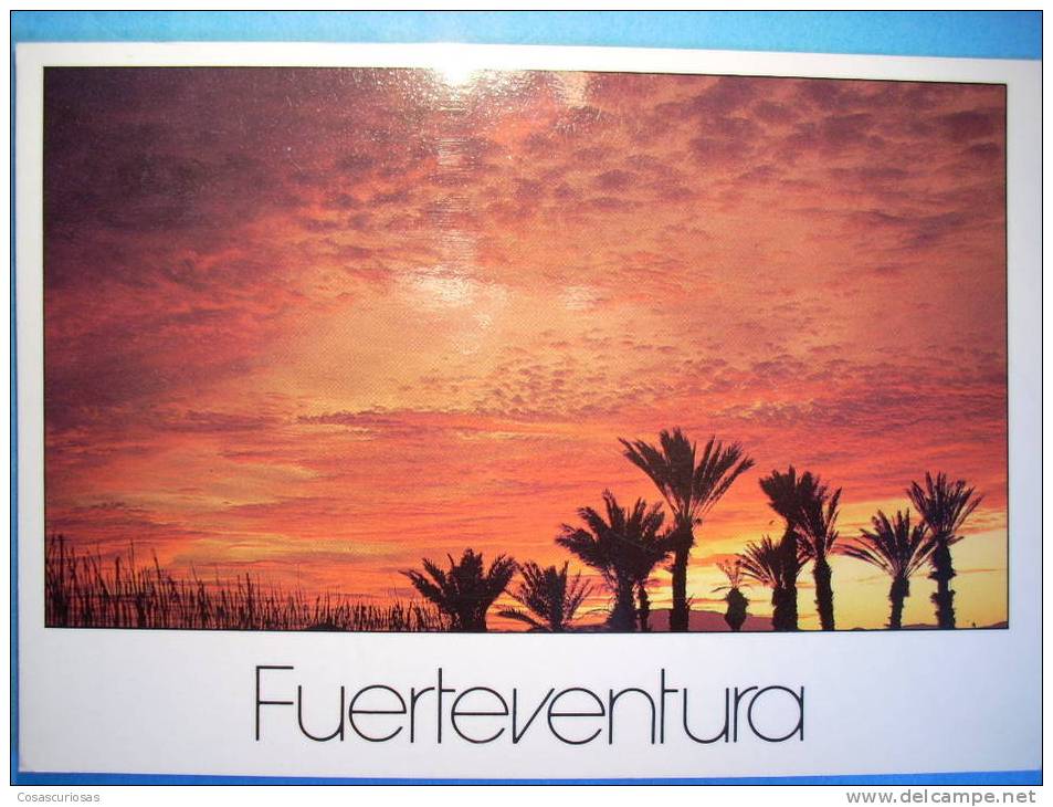 R.374  CANARY ISLAND. ESPAÑA SPAIN. FUERTEVENTURA. TUINEJE. AÑOS 80. CIRCULADA. MAS EN MI TIENDA - Fuerteventura