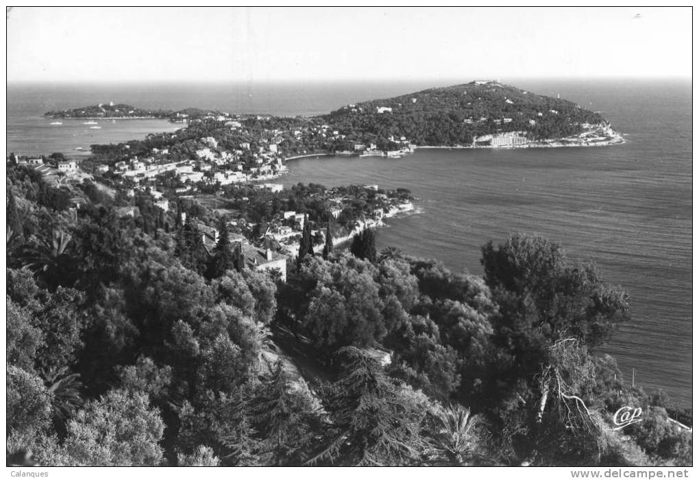 CPSM Saint Jean Cap Ferrat - Vue Sur Le Cap Ferrat Et La Pointe Saint Hospice - Saint-Jean-Cap-Ferrat