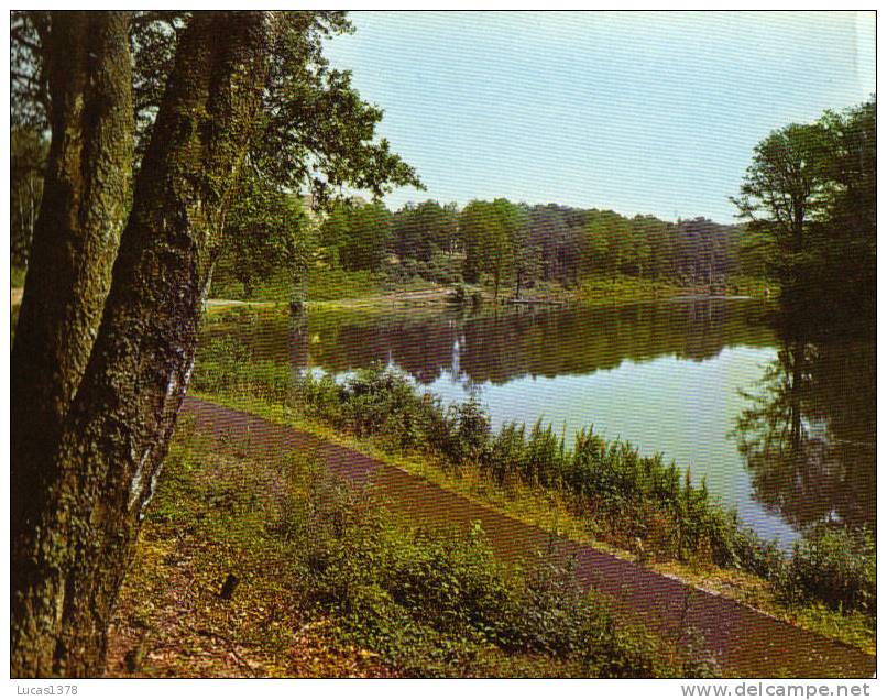 59 / SOLRE LE CHATEAU / HOPITAL DE FELLERIES LIESSIES / L ETANG - Solre Le Chateau