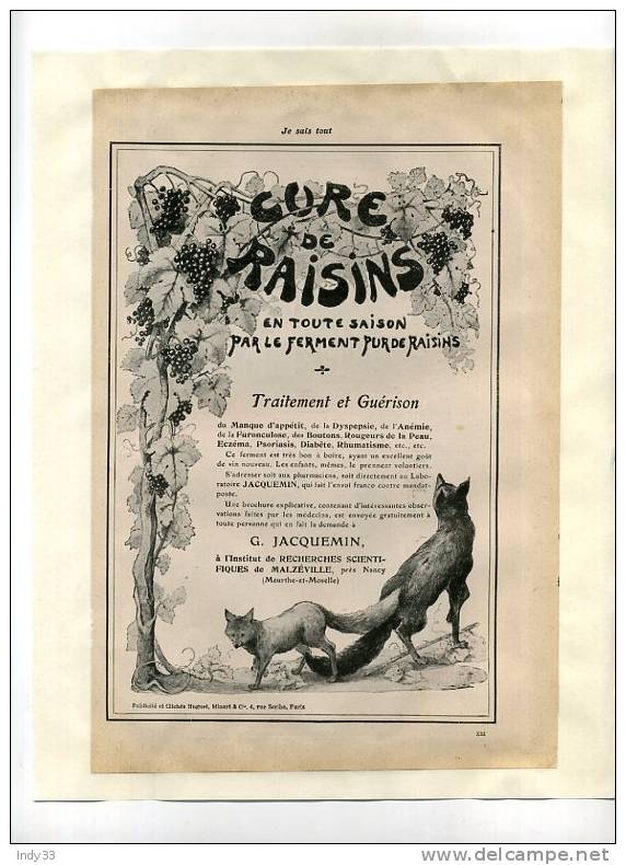 -" CURE DE RAISIN" . PAGE DE PUB. DU DEBUT DU XXe S. COLLEE SUR PAPIER - Autres & Non Classés