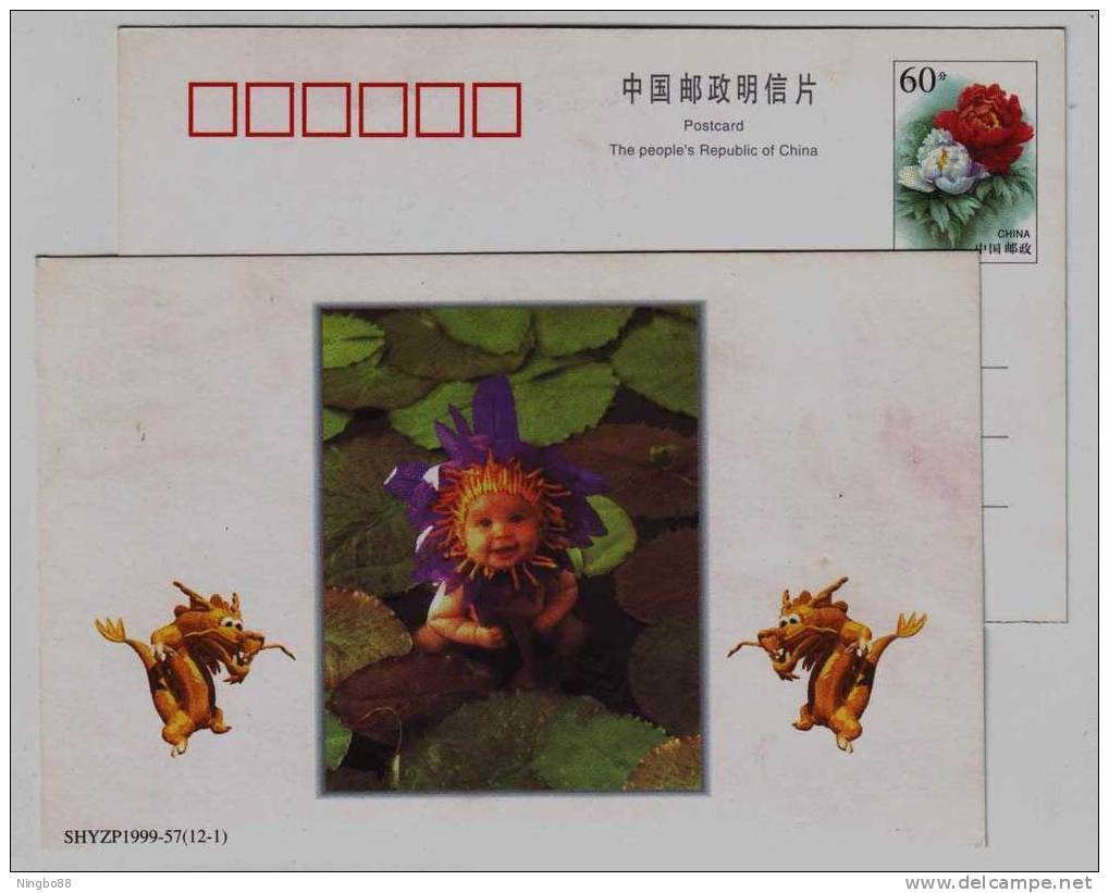 Frog On Lotus Leaf,frog Prince,child,baby,dragon,China 1999 Shanghai New Year Greeting Advertising Pre-stamped Card - Frogs