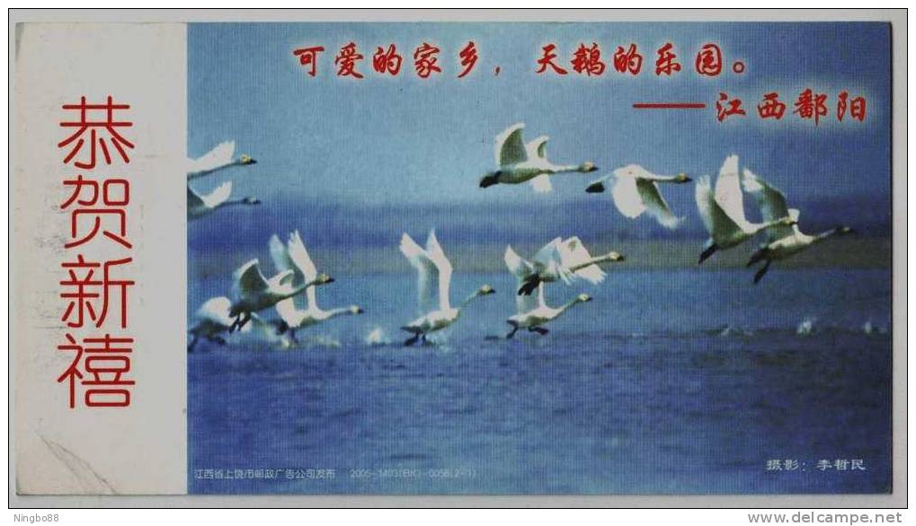 Fairyland Of Swan Bird,China 2005 Poyang New Year Greeting Pre-stamped Card - Swans