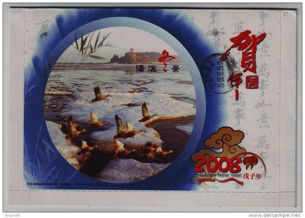 Winter View Of Seashore,wild Duck,migratory Bird,China 2008 Qinhuangdao Landscape Advertising Pre-stamped Letter Card - Canards