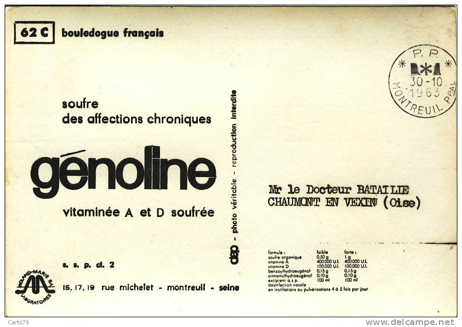 ANIMAUX - Chien - Bouledogue Français - Publicité Scan Verso - Médecine Santé - Chiens