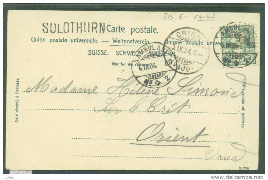 SOLOTHURN  - CACHET LINEAIRE   - TB - Sonstige & Ohne Zuordnung