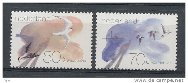 PAESI BASSI 1982  IL MARE DI WADDEN. UCCELLI DELLA REGIONE. FULL SERIE MNH** - Seagulls