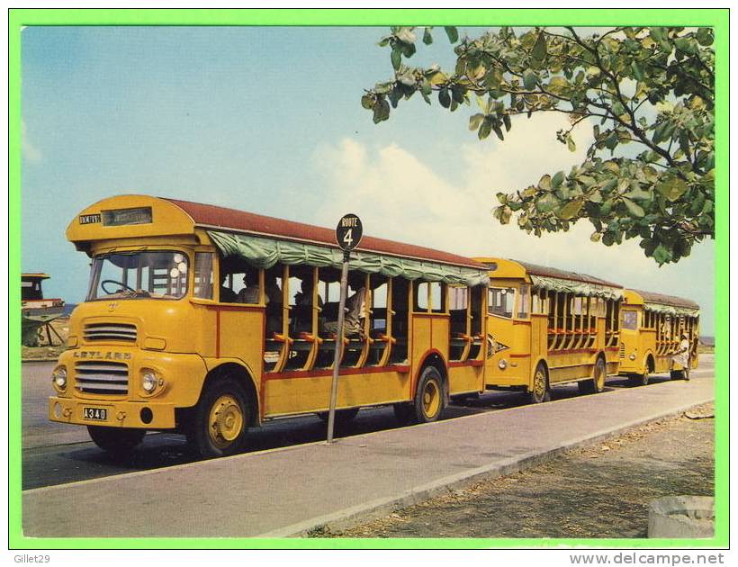 BARBADOS - BUS - AUTOBUS LEYLAND - ANIMÉE - - Barbados