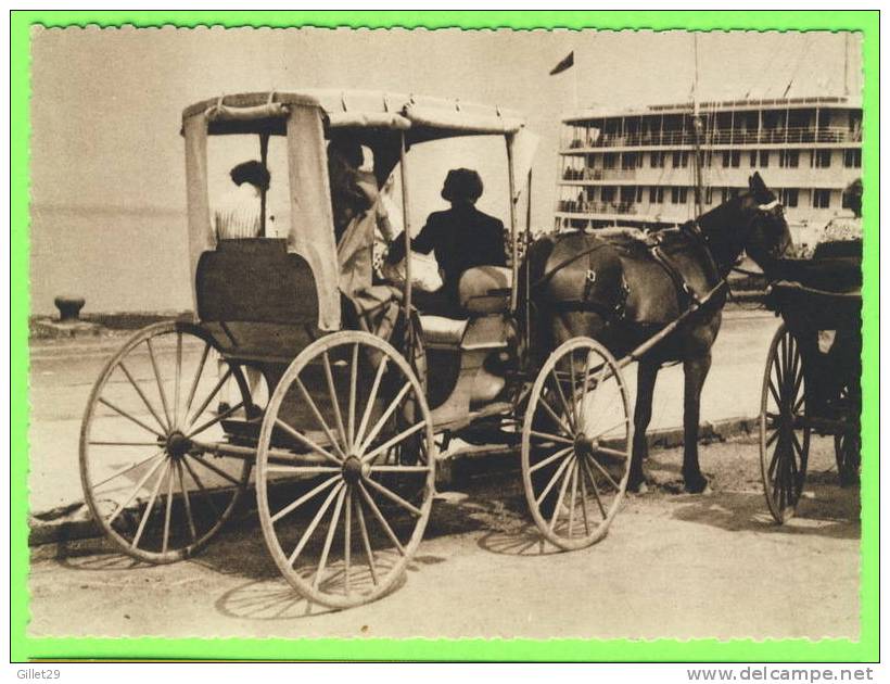 ATTELAGES DE CHEVAL - TRANSPORT DE L´ANCIEN TEMPS  AU QUÉBEC - ANIMÉE - PUB BY PAYEN - - Attelages