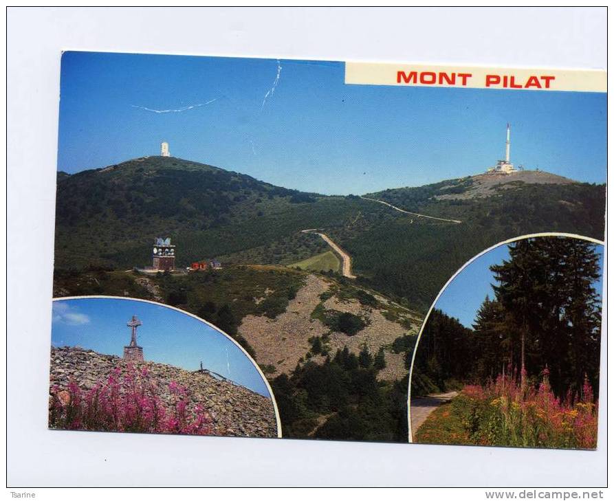 42 - Multi Ves Du Mont Pilat - Mont Pilat