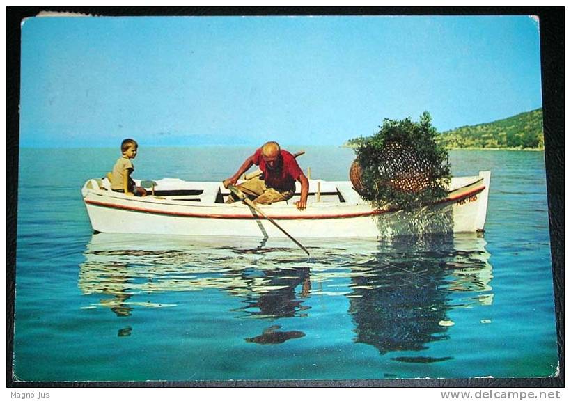 Fishing,Sea,Small Boat,Fisherman,postcard - Fishing Boats