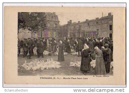 Thouars   79  Marché Place St -Léon....Oies - Thouars