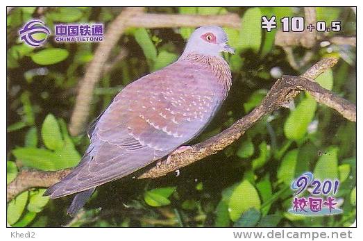 Télécarte Chine - ANIMAL - OISEAU - PIGEON COLOMBE Tourterelle - DOVE BIRD China Tietong Phonecard - TAUBE Vogel - 48 - China