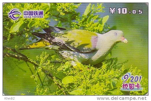 Télécarte Chine - ANIMAL - OISEAU -  PIGEON COLOMBE Tourterelle - DOVE BIRD China Tietong Phonecard - TAUBE Vogel - 49 - Chine