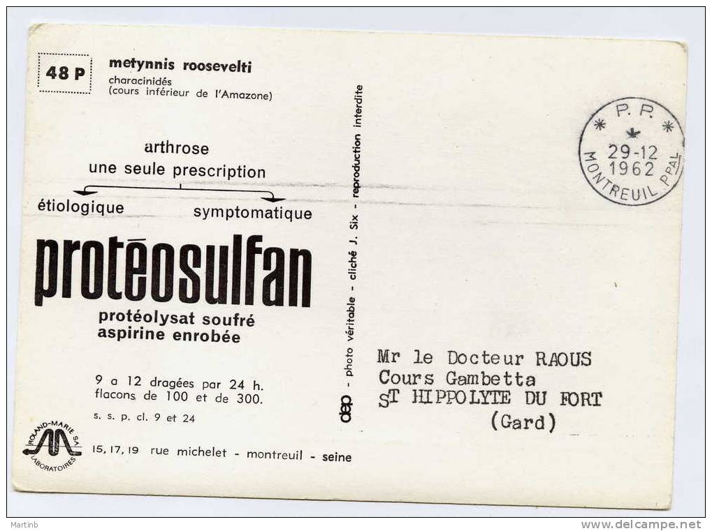 CPSM 1962 POLYPTERUS  Pub PROTEOSULFAN Au Verso - Vissen & Schaaldieren