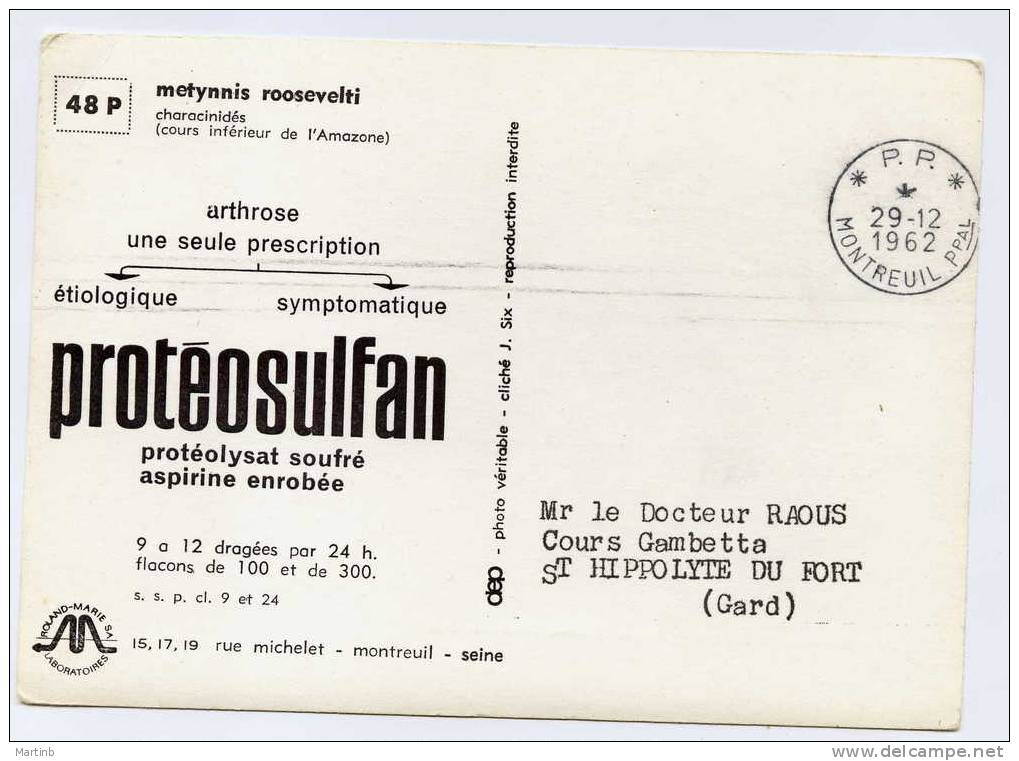 CPSM 1962 METYNNIS   Pub PROTEOSULFAN Au Verso - Poissons Et Crustacés