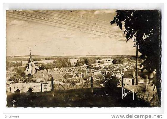 Cpsm PONT SUR YONNE Vue Generale N°3 Ed Gauvin - Raymon - Pont Sur Yonne