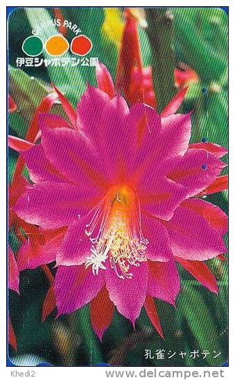 Télécarte Japon Fleur CACTUS / 110-174268 - KAKTUS Blume TK - Japan Flower Phonecard - 90 - Blumen