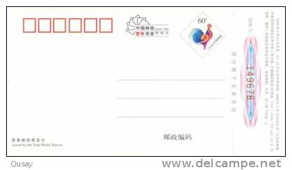 Basketball Stadium Gymnastium , Pre-stamped Card , Postal Stationery - Basketball