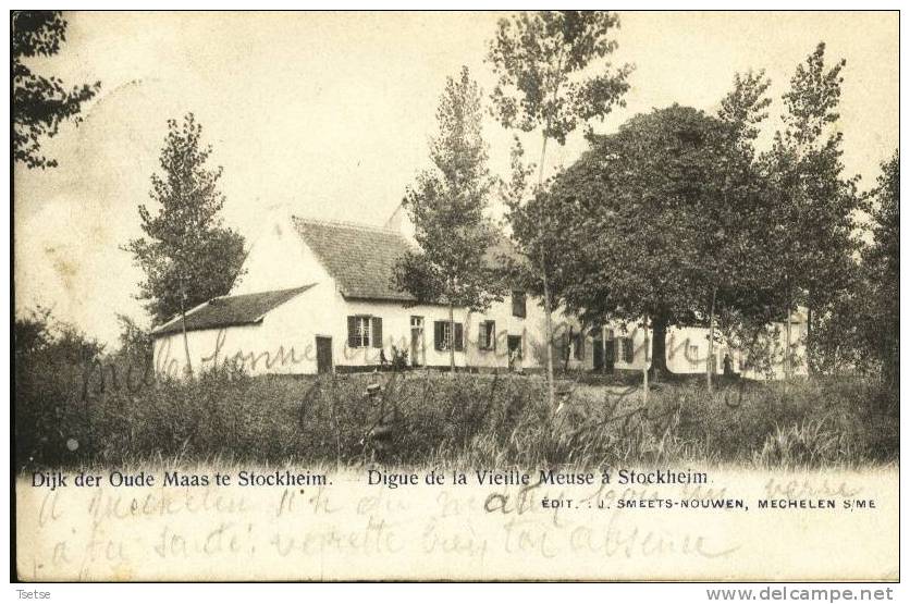 Stockheim - Dijk Der Oude Maas -1903 - Maasmechelen