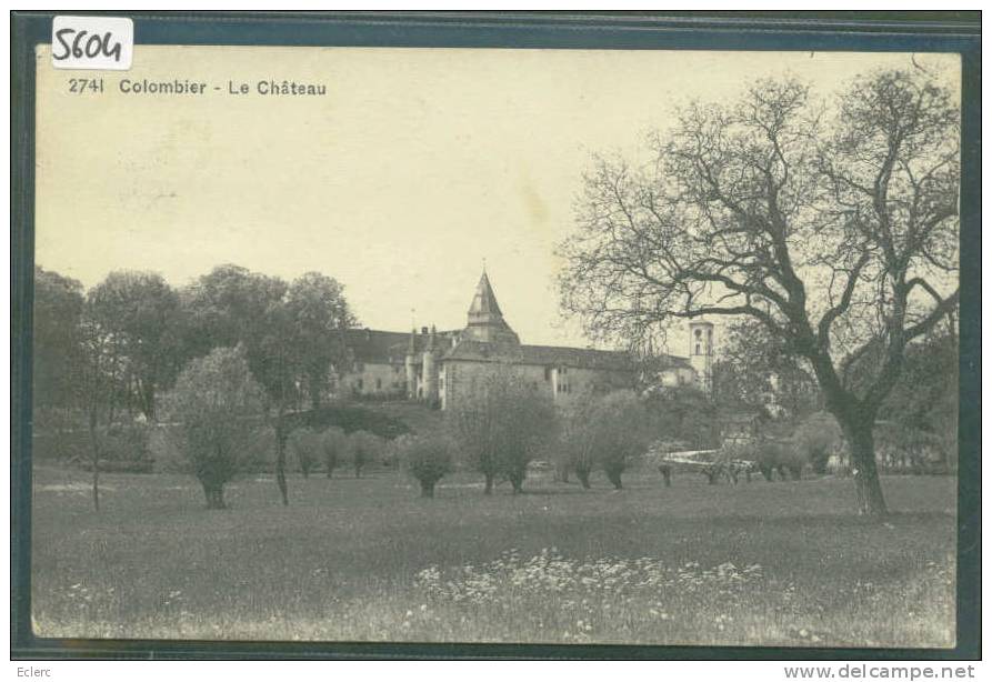 COLOMBIER - LE CHATEAU - TB - Colombier