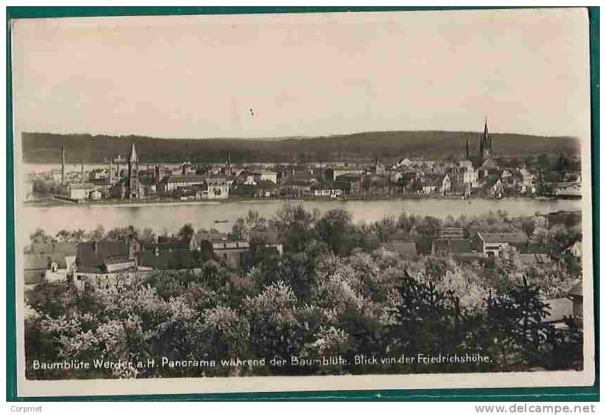 Baumblüte Werder A.H. - Panorama Während Der Baumblüte - Blick Von Der Friedrichshöhe - C/1910 CPA - UNUSED POSTCARD - Werder
