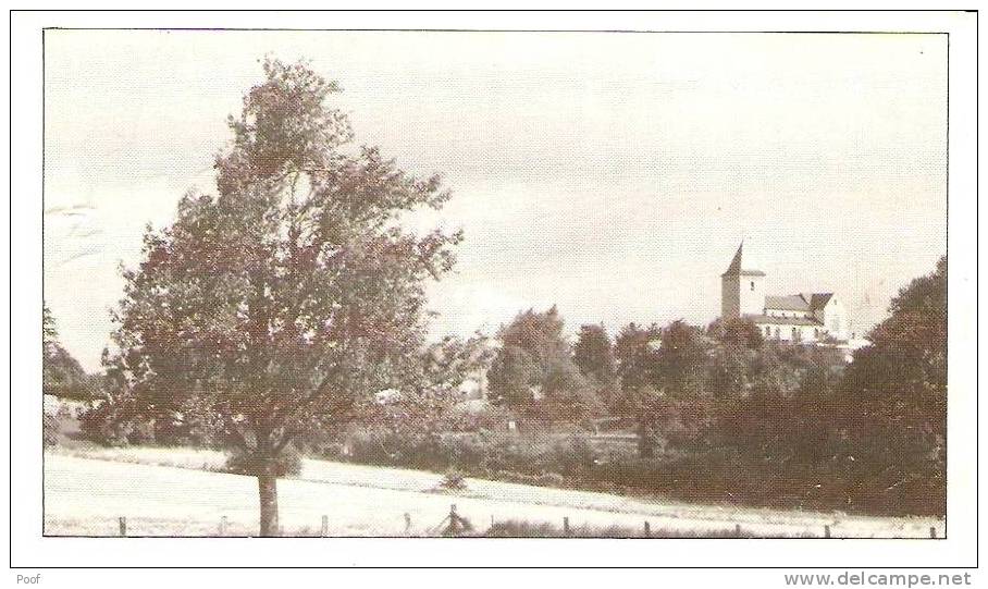 Tongeren-Berg : De Sint-Martinuskerk - Tongeren