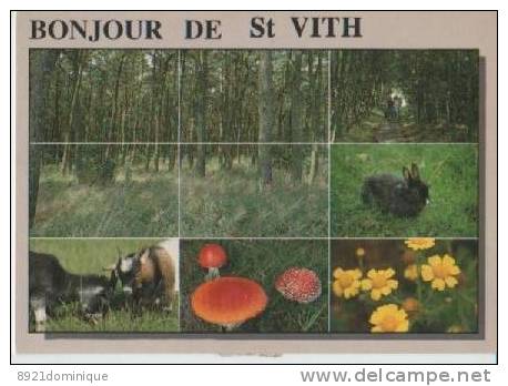 Saint Vith - Saint-Vith - Sankt Vith