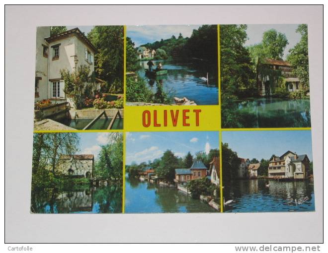(138) -1- Carte Postale Sur Olivet Dans Le Loiret - Beaugency