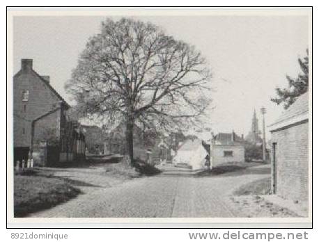 Beernem - St Joris - Een Sind 1968 Verdwenen Dorpsgezicht Met De Prachtige Oude Linde En Brug - Beernem