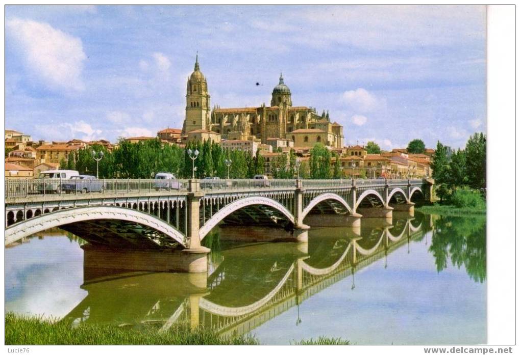 SALAMANCA -  N° 59  -  Vue Partielle Et Fleuve TORMES - Salamanca