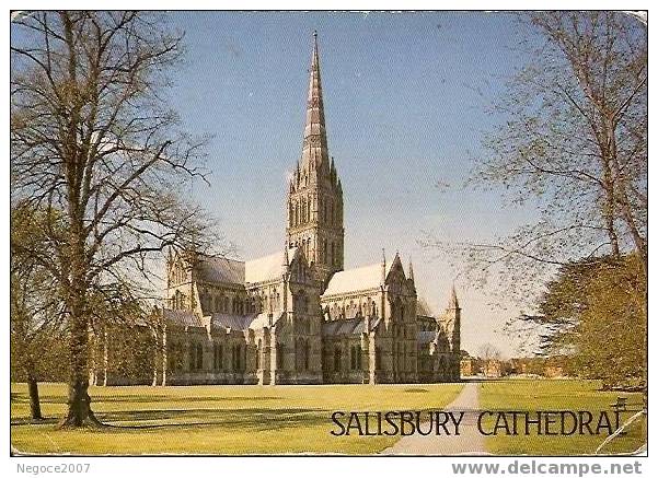 Salisbury Cathédrale Wiltshire Années 1950 ? Belle Carte Couleur "pte Cornes En Coin En Bas G Et D" - Salisbury