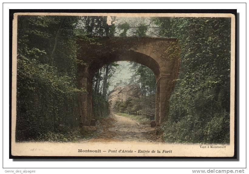 95 MONTSOULT, Pont D'Arcole, Entrée De La Forêt, Ed Vast, CPA Colorisée, Voyagé En 1904, Dos Div. - Montsoult