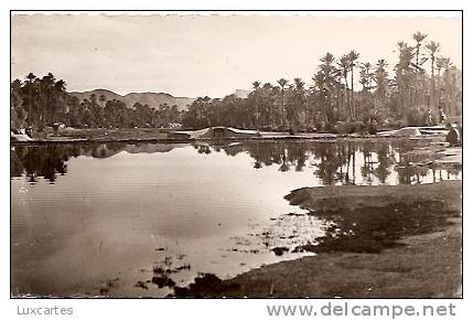 COLOMB-BECHAR.  LE BARRAGE SUR L'OUED. - Bechar (Colomb Béchar)