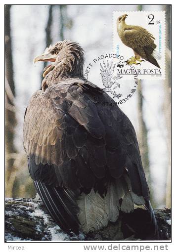 3527 - Hongrie 1983 - Oiseaux - Maximumkarten