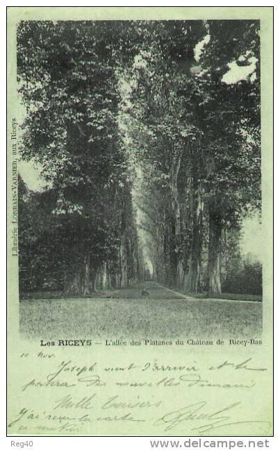 D10 - LES RICEYS  -  L´Allée Des Platanes Du Chateau De Ricey-Bas - Les Riceys