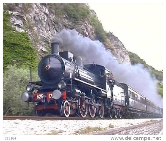 DVD N. 7  Locomotive à Vapeur FS 625.177 100° Anniversaire Du Chemin De Fer De La Valcamonica  Train - Viajes