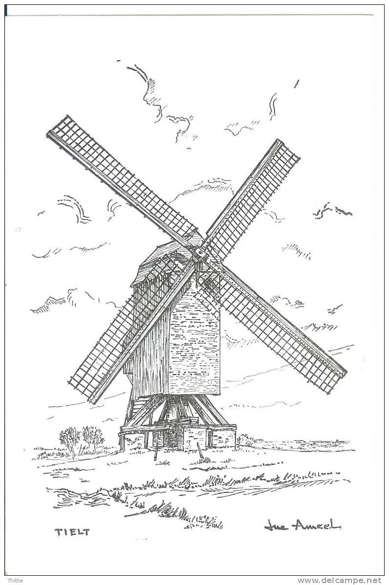 TIELT Poelbergmolen - Moulin - Molen - Tielt