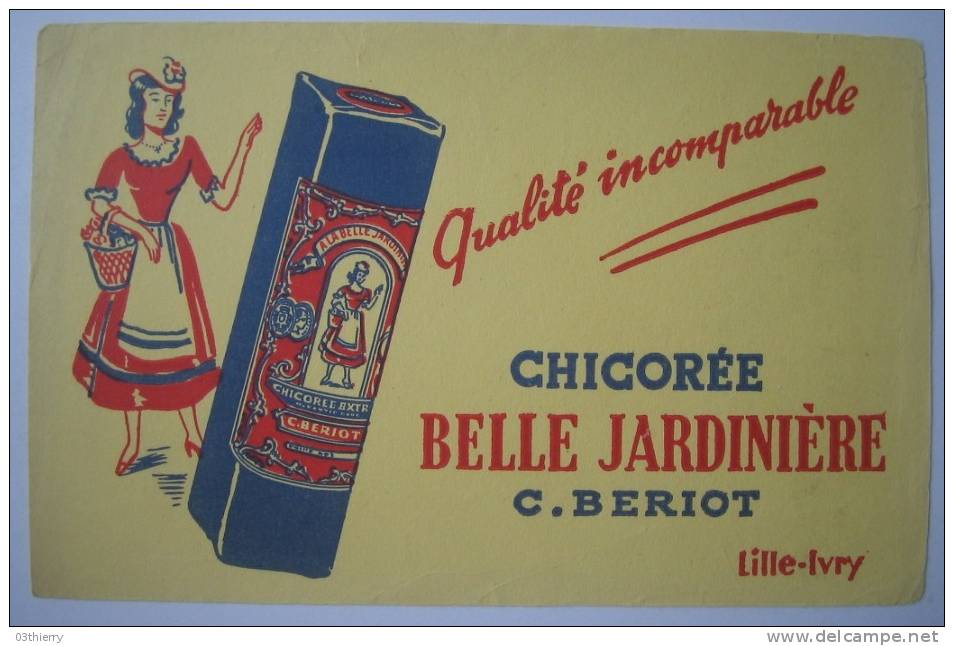 BUVARD-CHICOREE BELLE JARDINIERE- - Café & Thé