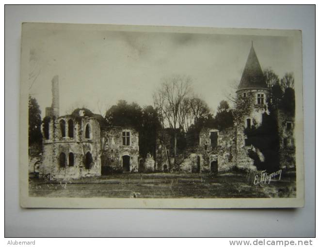 Fontenay Trésigny , Ruines Du Chateau Royal Du Vivier . C.p.photo.14x9 - Fontenay Tresigny