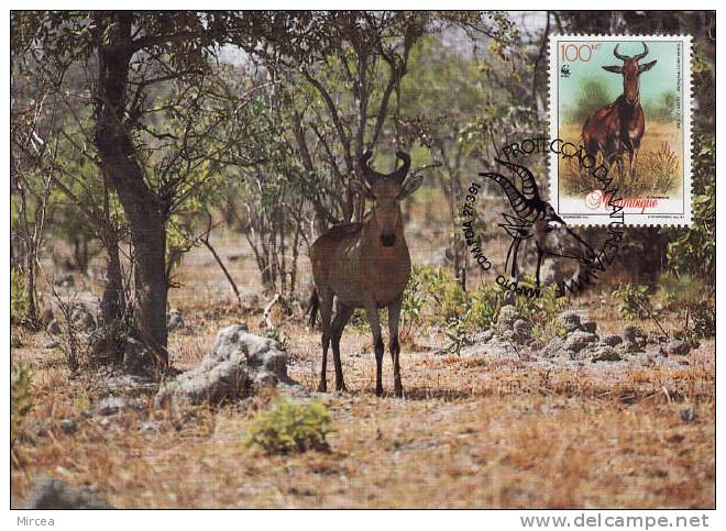 2741 - Mozambique 1991 - Maximumkarten