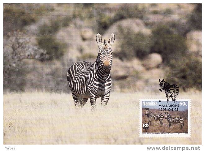 2733 - Namibie 1991 - Maximum Cards