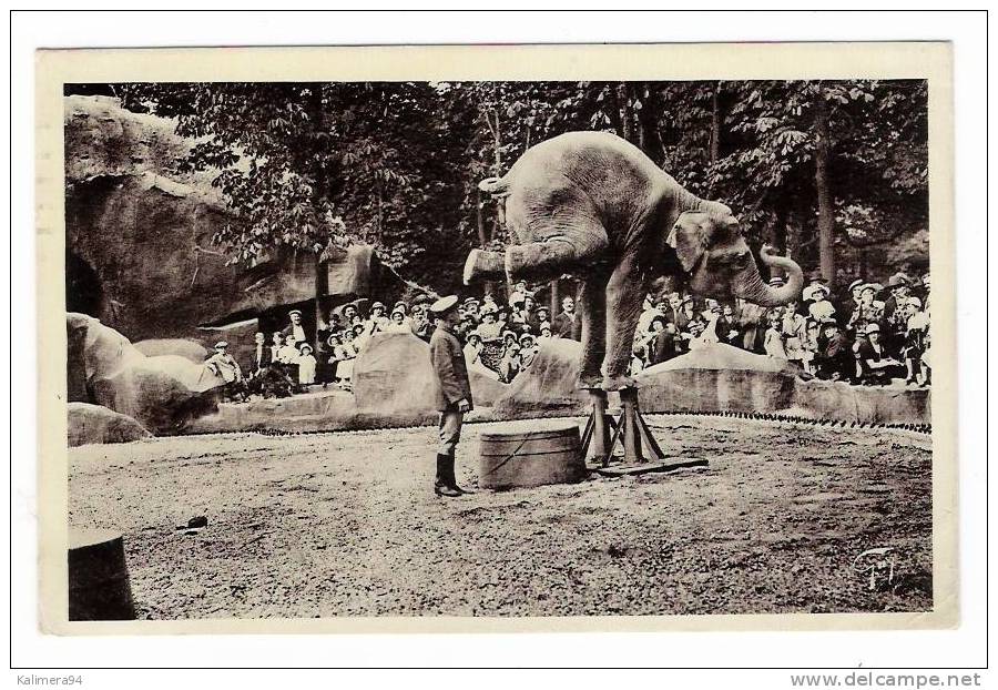 PARIS  /  JARDIN  ZOOLOGIQUE  DE  VINCENNES  /  L' ELEPHANT  EQUILIBRISTE   ( A Voyagé En 1936 ) - Elephants