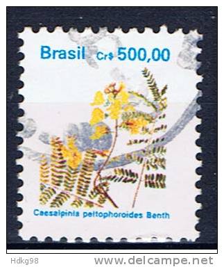 BR+ Brasilien 1991 Mi 2413 Blüte - Usati