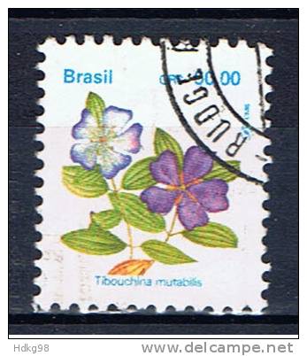 BR+ Brasilien 1993 Mi 2552 Blüte - Used Stamps