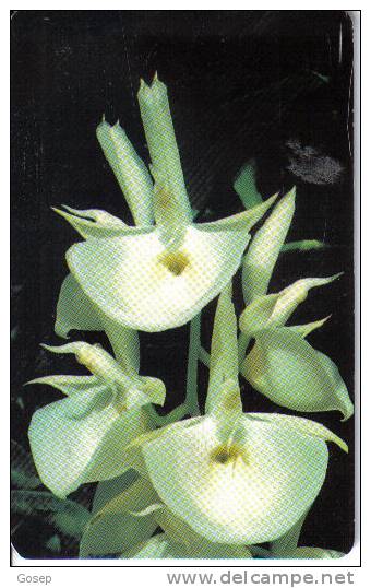 Venezuela-catasetum Pileatum Rchb.f.-tirage-600.000(bs1000)-6/1996-used Card+1 Card Prepiad Free - Blumen