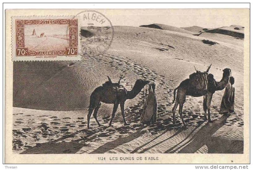Algérie  Algeria Carte Maximum Halte Saharienne Maxicard Maxikarten Camels Chameaux Dromadaires - Cartoline Maximum